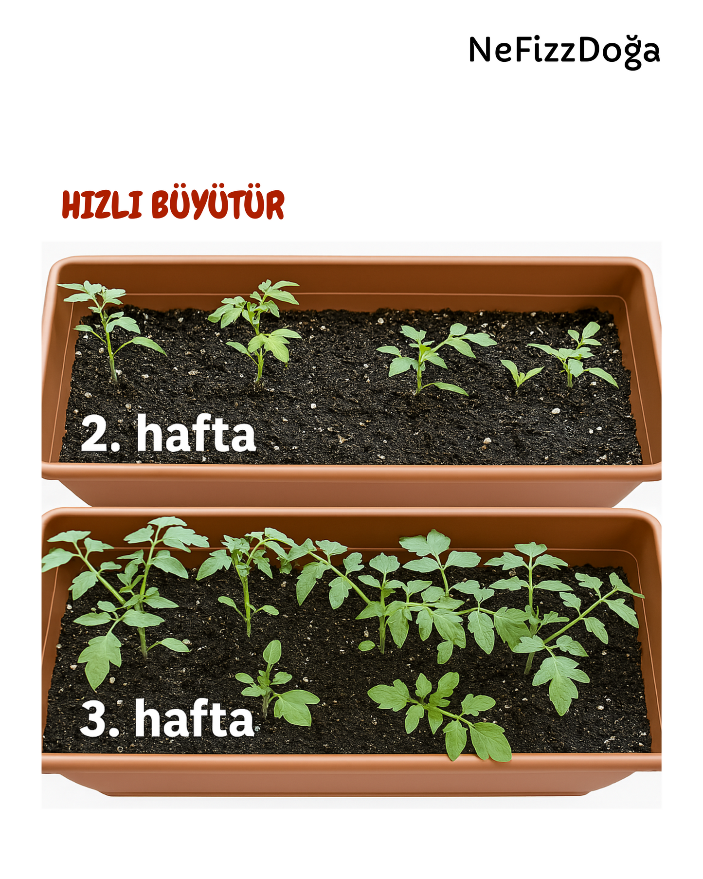 %100 Doğal Solucan Gübresi (SARI KAPAK)-3 LİTRE